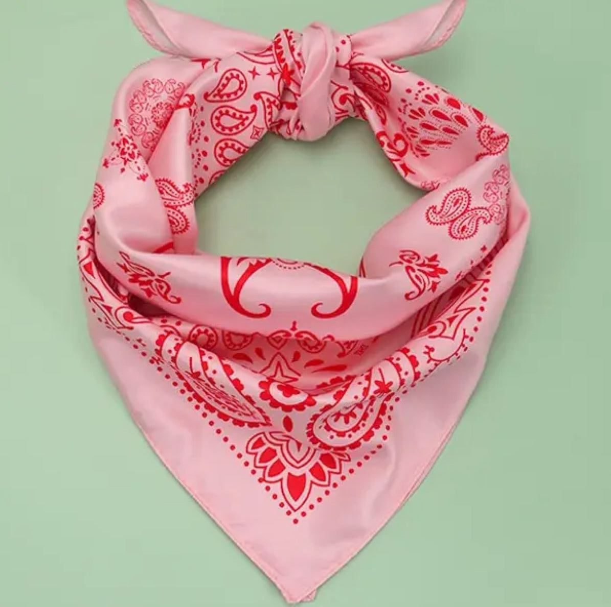 Wild Rags